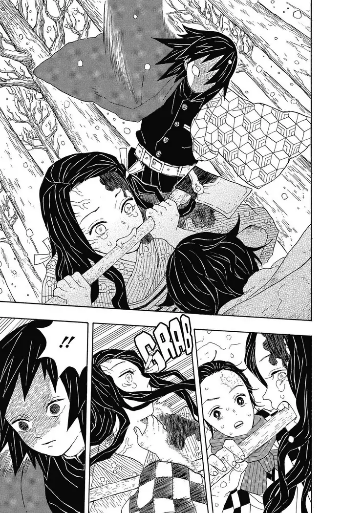 Demon Slayer Chapter 1 image 29_optimized